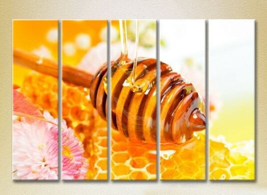Картина Rainbow Polyptych Honey in honeycombs 05 (2224595)