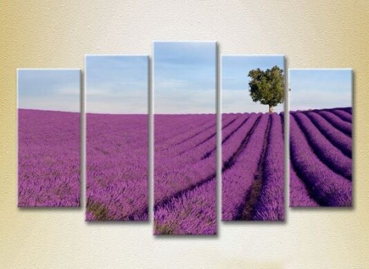 Картина Rainbow Polyptych Lavender field with tree 04 (2224825)