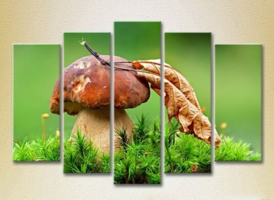 Pictură Rainbow Polyptych Mushroom in green grass 01 (2224600)