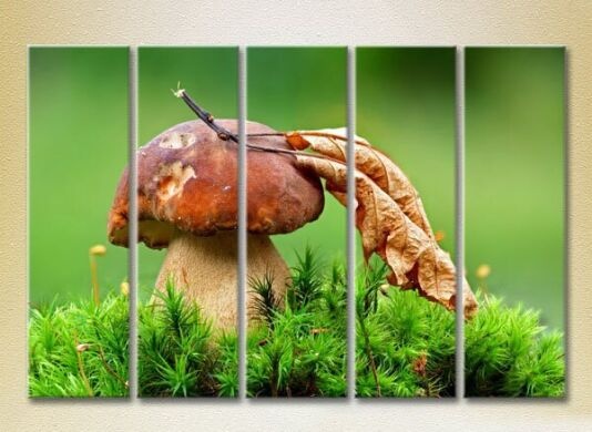 Pictură Rainbow Polyptych Mushroom in green grass 02 (2224569)