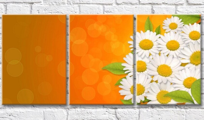 Pictură Gallerix Chamomile and green leaves on an orange background (500618)