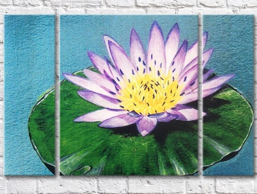 Pictură Gallerix Drawing of a lilac water lily (500569)