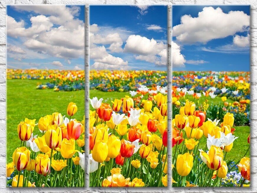 Картина Gallerix Fields of multicolored tulips against the sky with clouds (500535)