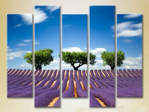 Картина Rainbow Polyptych Three trees in a lavender field 03 (2224816)