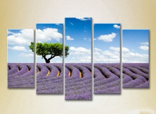 Картина Rainbow Polyptych Tree in a lavender field 08 (2224809)