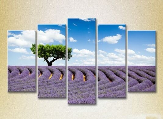 Pictură Rainbow Polyptych Tree in a lavender field 08 (2224809)