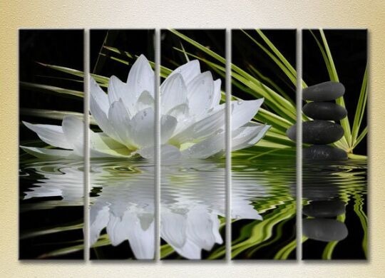 Картина Rainbow Polyptych Water Lily and Massage Stones 03 (2932800)