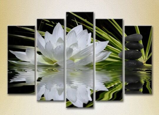 Картина Rainbow Polyptych Water Lily and Massage Stones 04 (2932872)