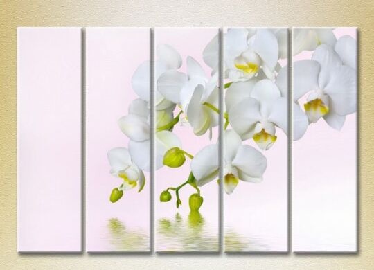 Pictură Rainbow Polyptych White Orchid 02 (2932796)