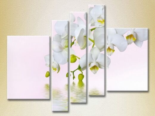 Pictură Rainbow Polyptych White Orchid 03 (2932906)