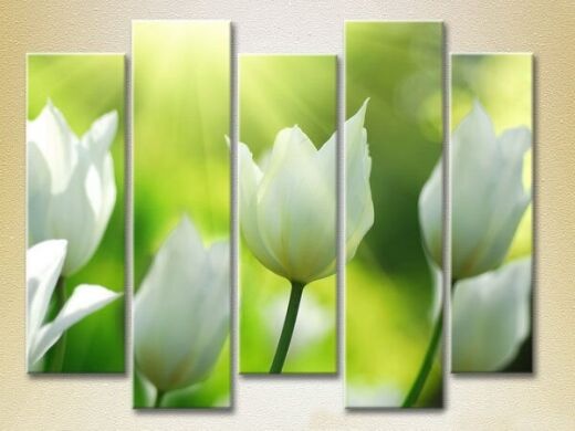 Pictură Rainbow Polyptych White Tulips 02 (2932801)