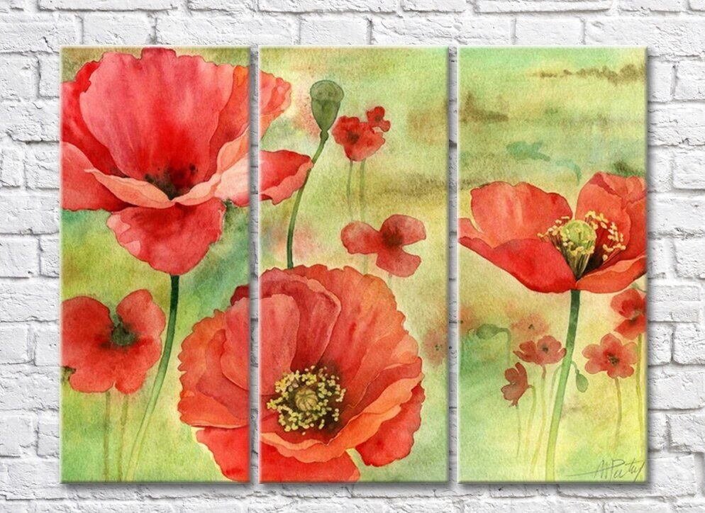 Картина Rainbow Red poppies flowers on a green background watercolor drawing (500360)