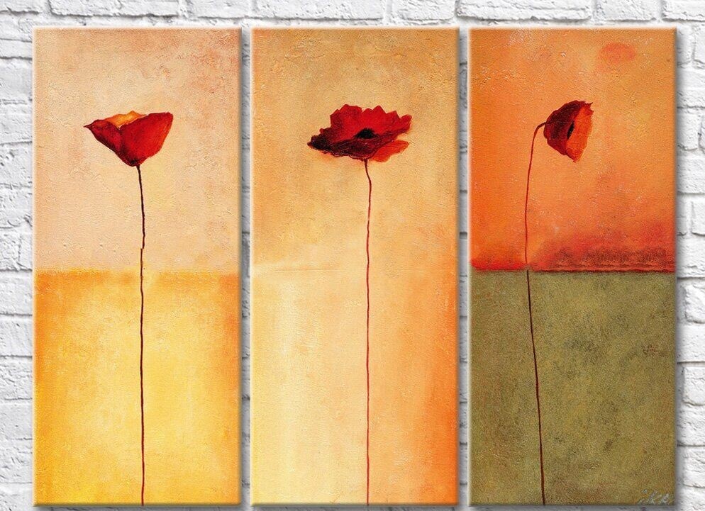 Картина Rainbow Red poppies on a colorful background (3572506)