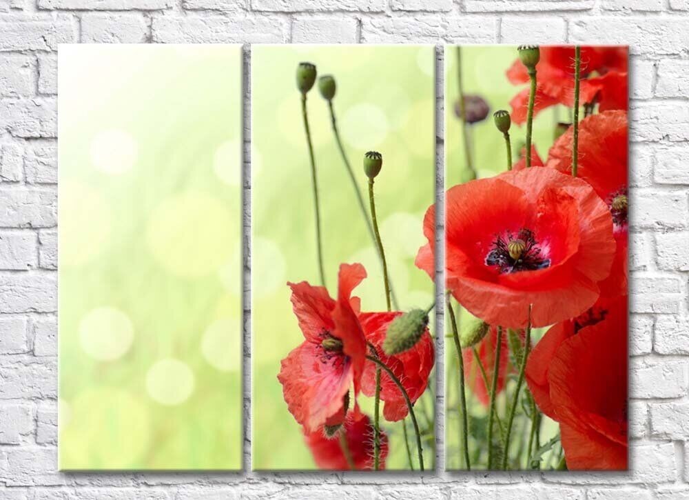 Картина Rainbow Red poppies on a light green background (500348)