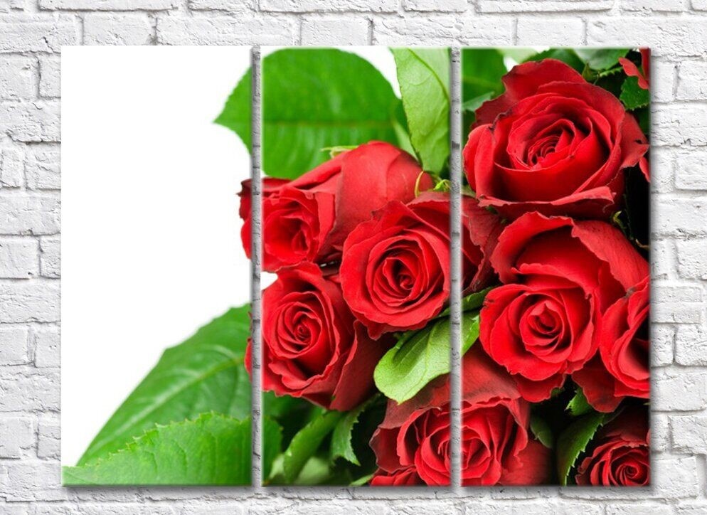 Картина Rainbow Red roses and green leaves (500351)