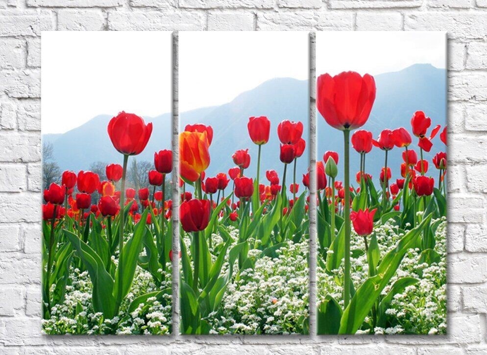 Картина Rainbow Red tulips in a mountain landscape (500356)