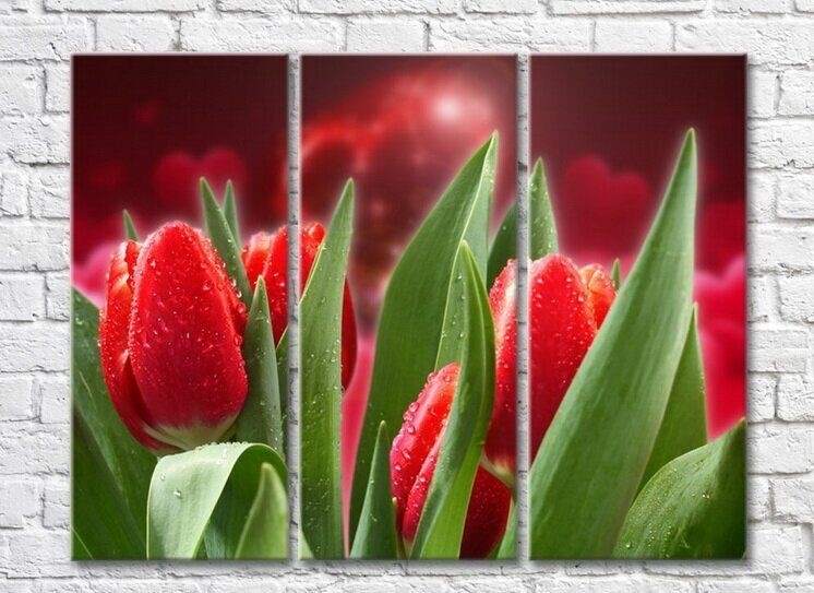 Картина Rainbow Red tulips on a background of hearts (3448900)