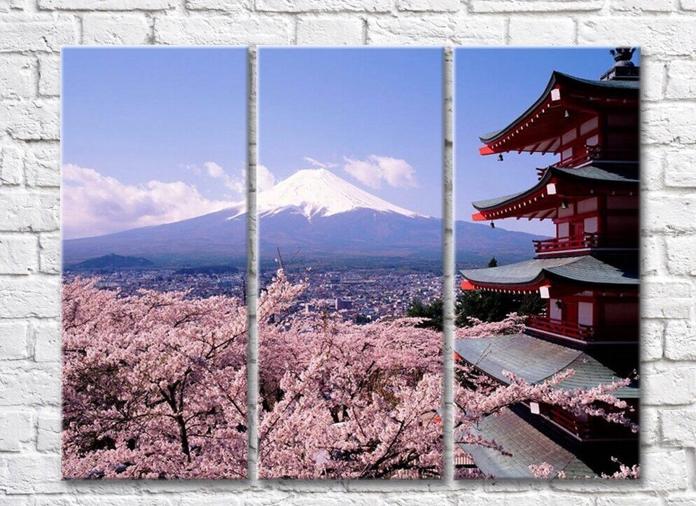 Картина Rainbow Sakura tree and Japanese pagoda against the backdrop of Mount Fuji (500269)