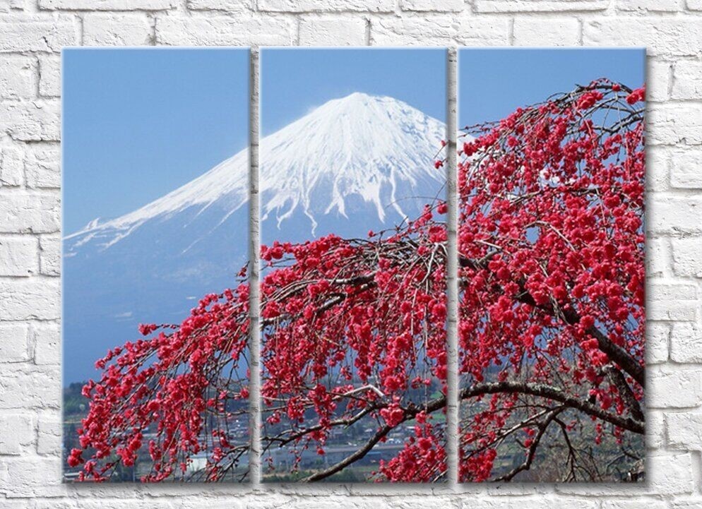 Pictură Rainbow Sakura tree on the background of Mount Fuji (500272)
