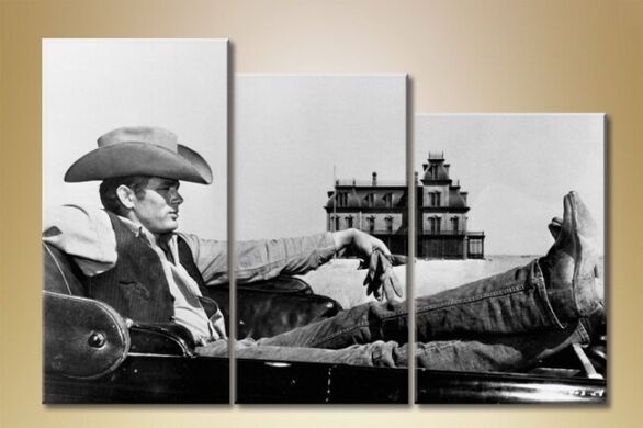 Картина Rainbow Triptych cowboy marlborough (1523141)