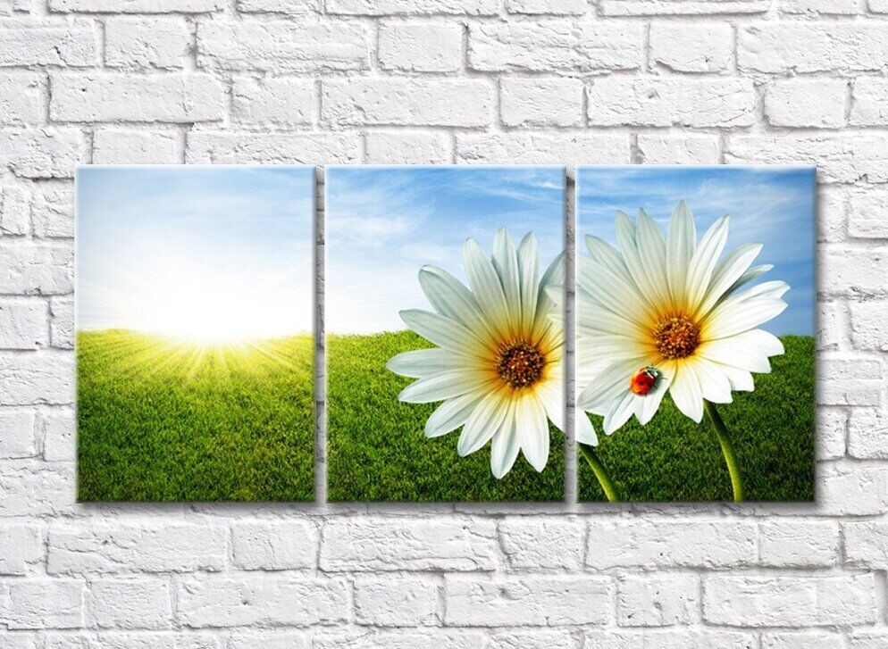 Картина Rainbow Two daisies with a ladybug and the sun on the horizon (500267)