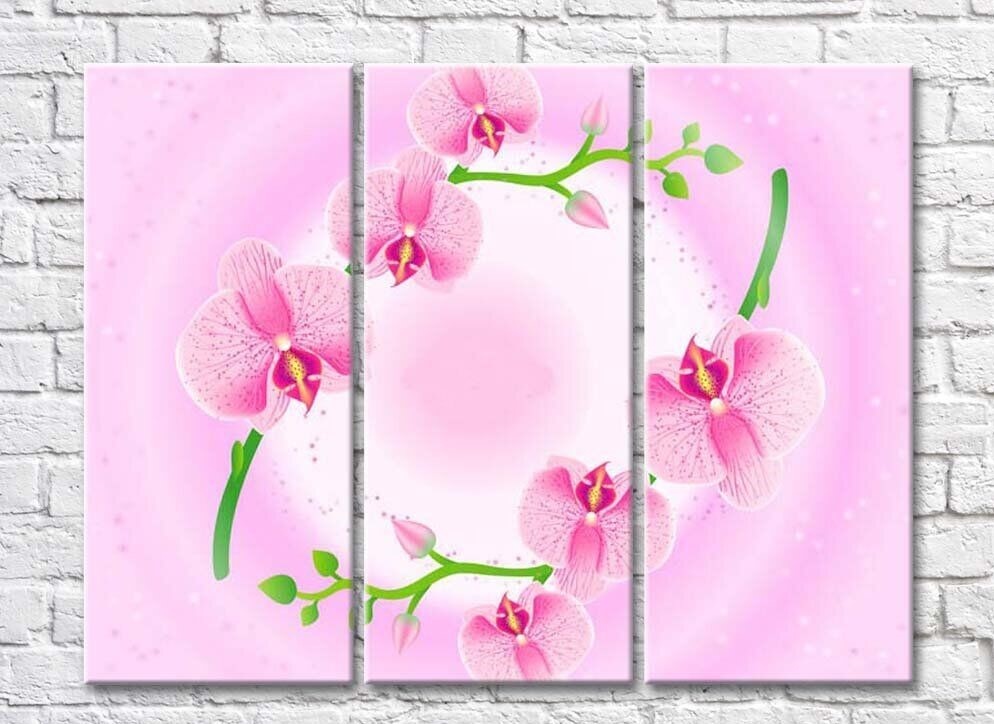 Картина Rainbow Two green twigs with pink orchid flowers (500263)