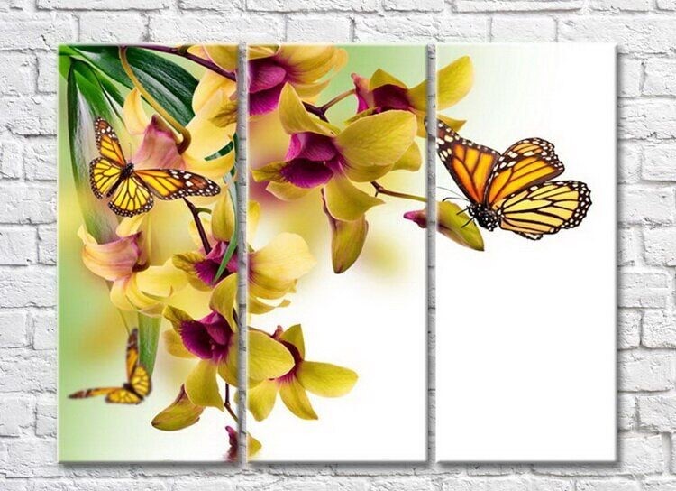 Картина Rainbow Yellow butterflies against a yellow archidea (3448885)