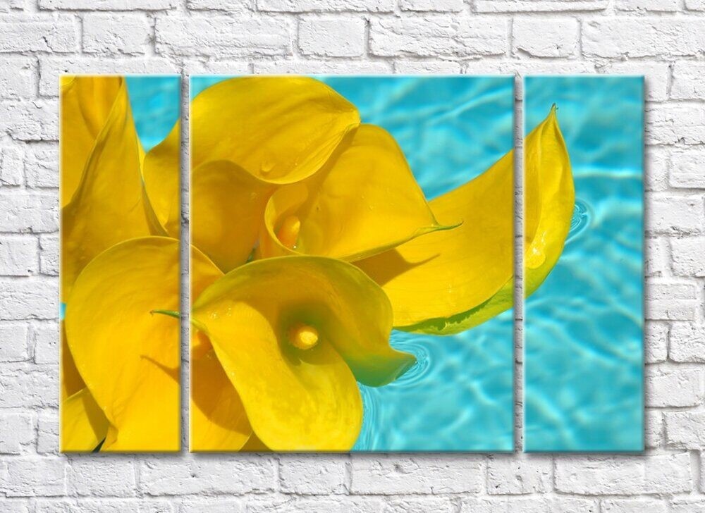 Pictură Rainbow Yellow calla lilies on blue water background (500286)
