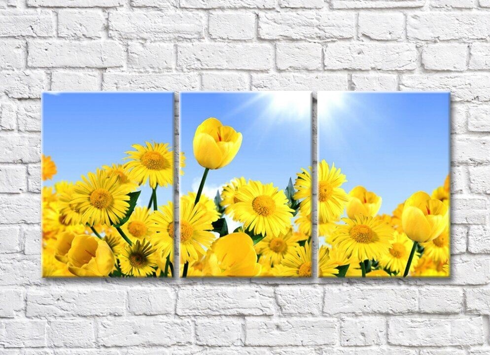 Pictură Rainbow Yellow daisies and tulips on a blue sunny sky background (500291)