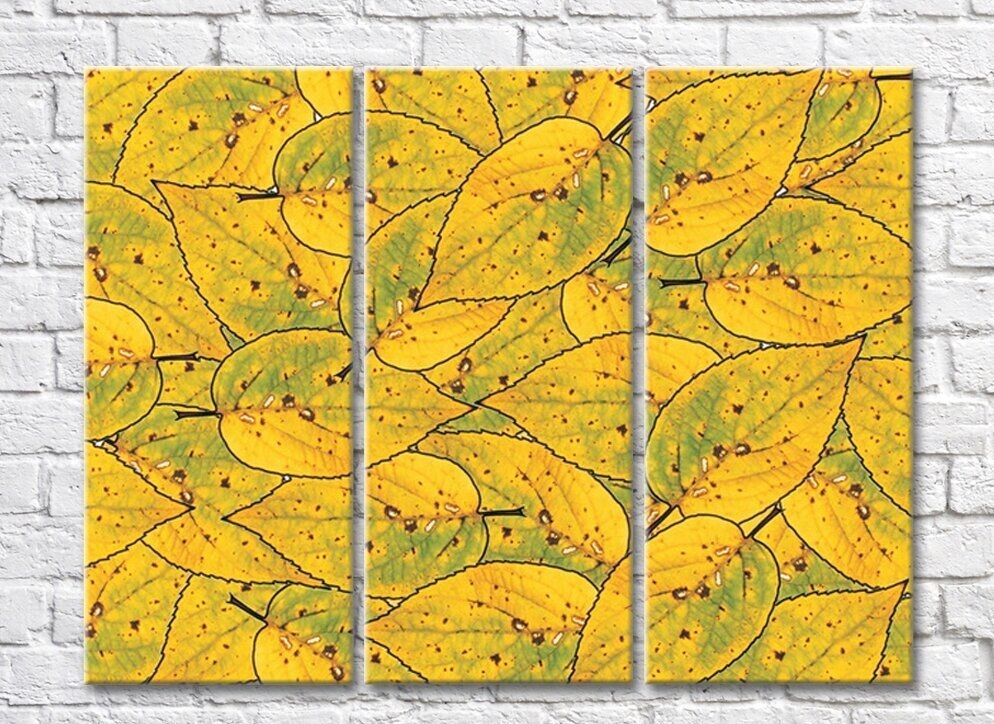 Картина Rainbow Yellow Green Leaf Abstraction (500277)