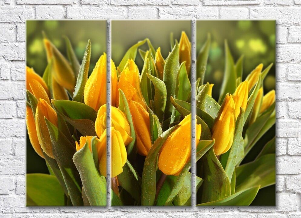 Pictură Rainbow Yellow tulips and green leaves (500293)