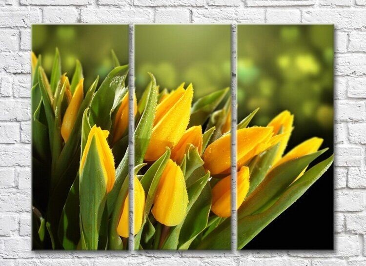 Pictură Rainbow Yellow tulips covered with dew (3448888)
