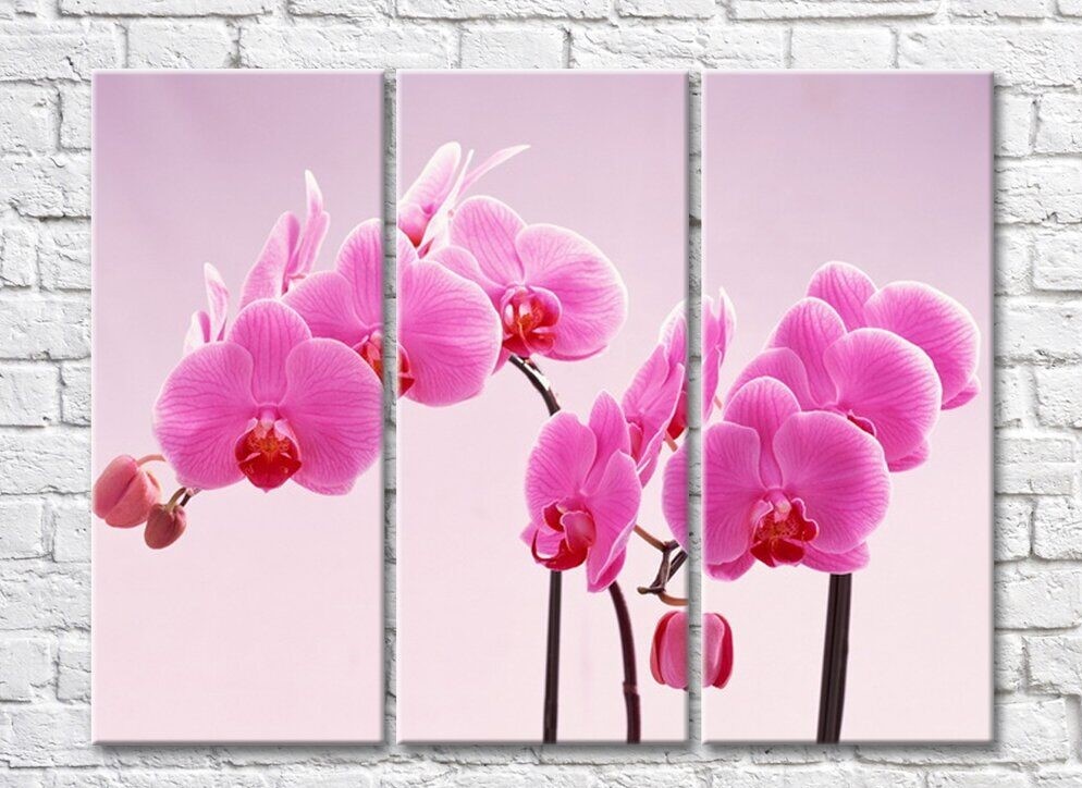 Картина Gallerix Lush twigs of pink orchids (500544)