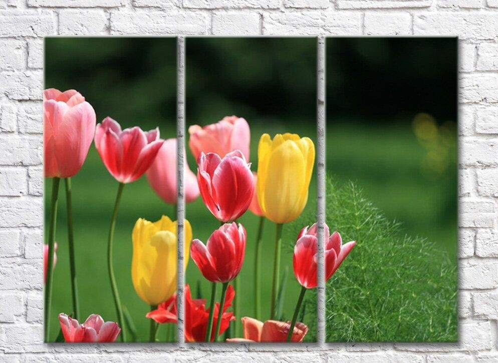 Картина Gallerix Multicolored tulips in a flower bed (500564)