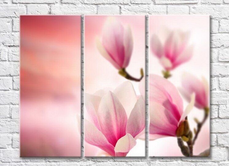 Pictură Gallerix Pink magnolia on a pink background (3448911)