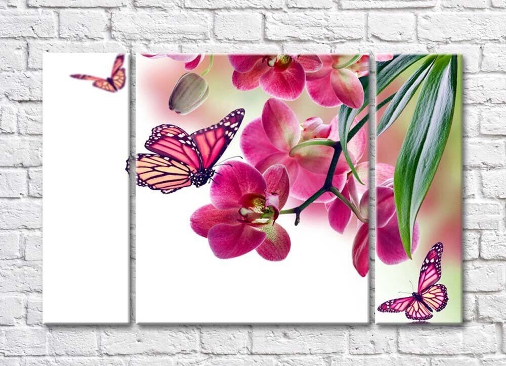 Картина Gallerix Pink orchid and colorful butterflies (500574)