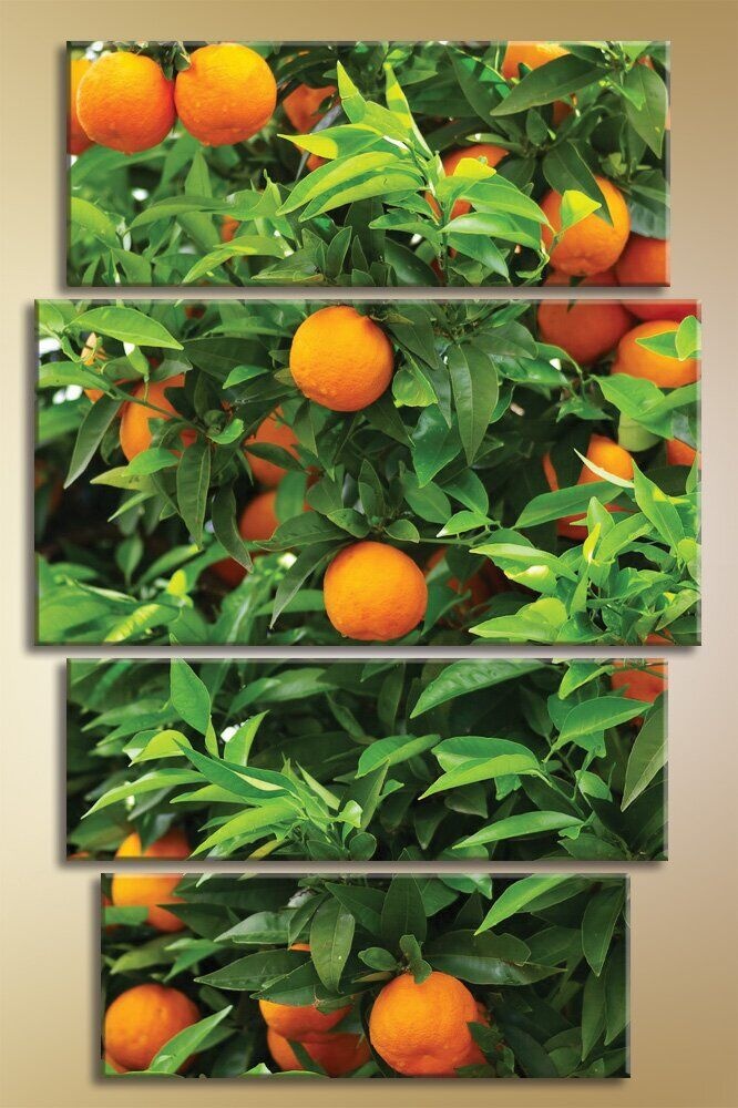 Pictură Gallerix Polyptych orange tree (1547185)