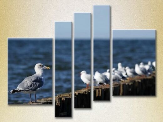 Pictură Gallerix Polyptych Seagulls in Crimea 02 (2224799)