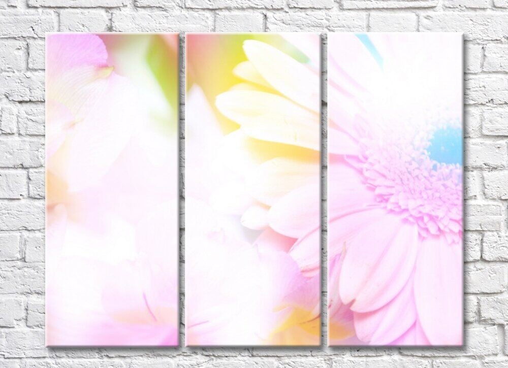 Картина Gallerix Transparent background with gerbera flower (500539)