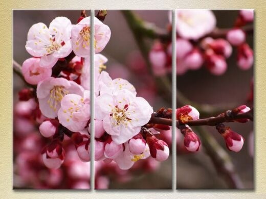 Картина Gallerix Triptych Blossoming Branch (2699450)