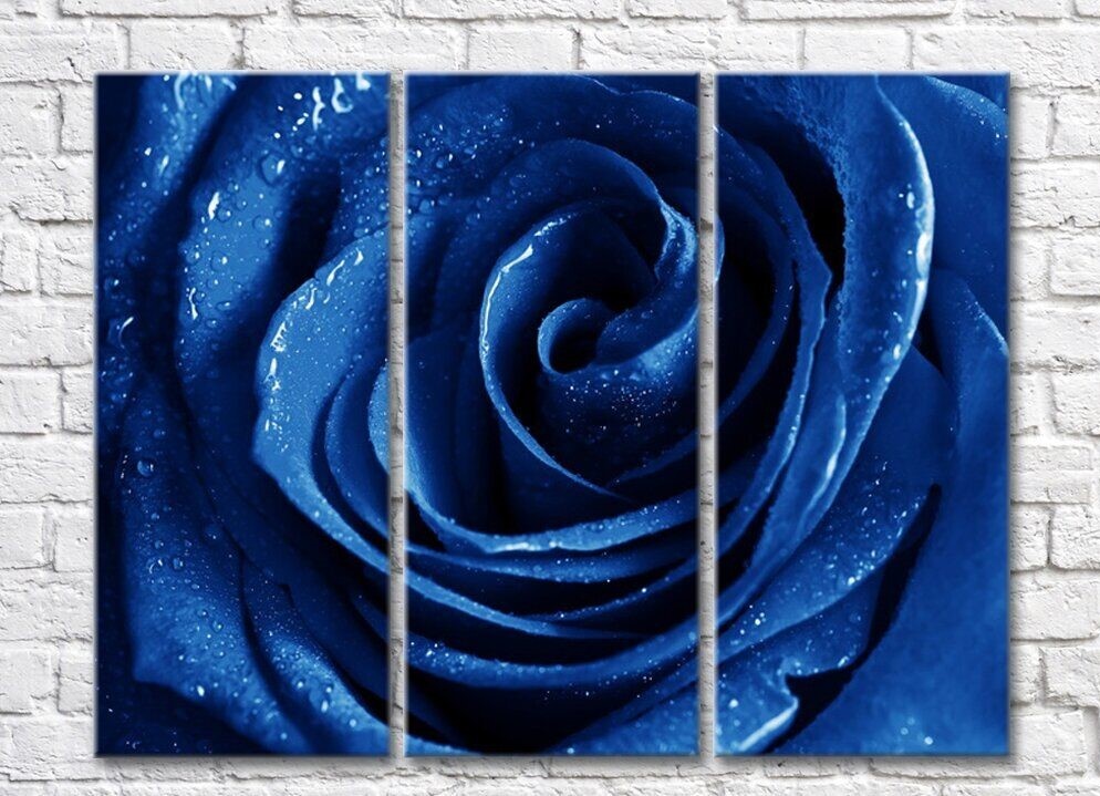 Pictură Gallerix Triptych blue rose (500737)