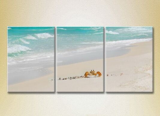 Картина Gallerix Triptych Crab in the Sand 01 (2180947)