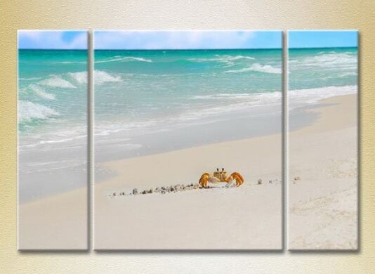 Картина Gallerix Triptych Crab in the Sand 02 (2180935)