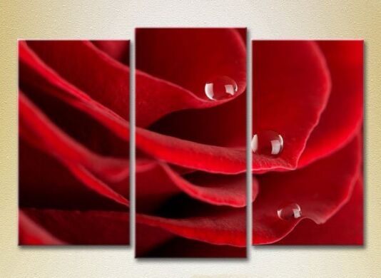 Картина Gallerix Triptych Drops on a red rose 01 (2699554)