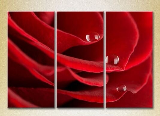 Картина Gallerix Triptych Drops on a red rose 02 (2699562)