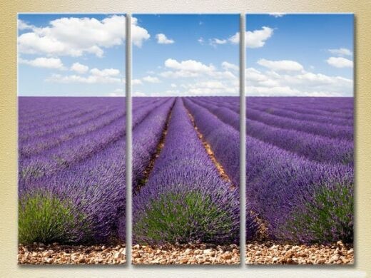 Pictură Gallerix Triptych Lavender Field (2181116)