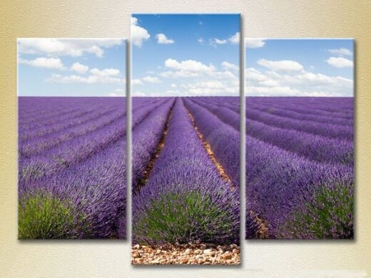 Картина Gallerix Triptych Lavender field 01 (2181117)
