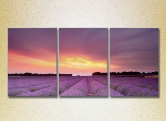 Pictură Gallerix Triptych Lavender Field 06 (2181139)