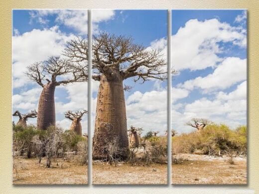 Картина Gallerix Triptych of the Baobabs in the Savannah 01 (2181133)