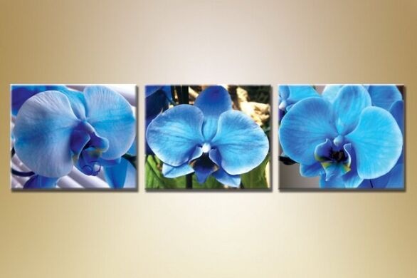 Картина Gallerix Triptych Orchids 10 (1612519)